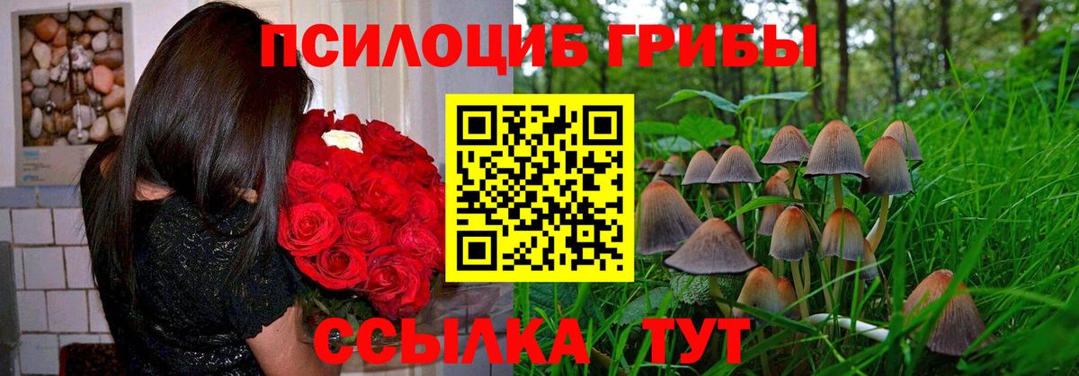 Псилоцибиновые грибы ЛСД  Вход с VPN  купить  цена  Кимры 